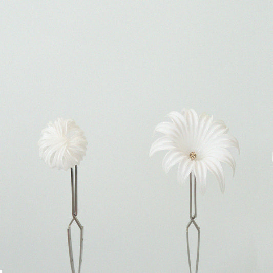 Rhizanthes Deceptor - Blanc
