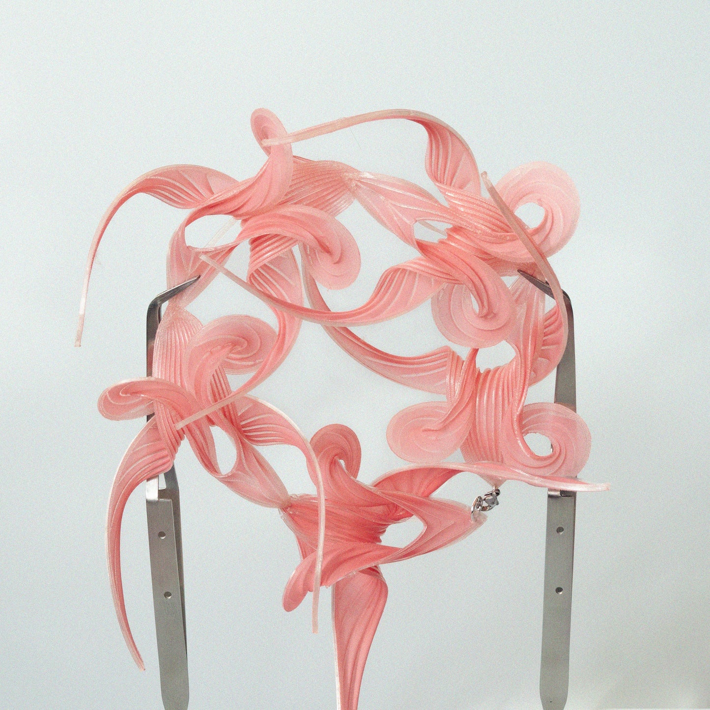 Tendrillia Silvanea - Rose
