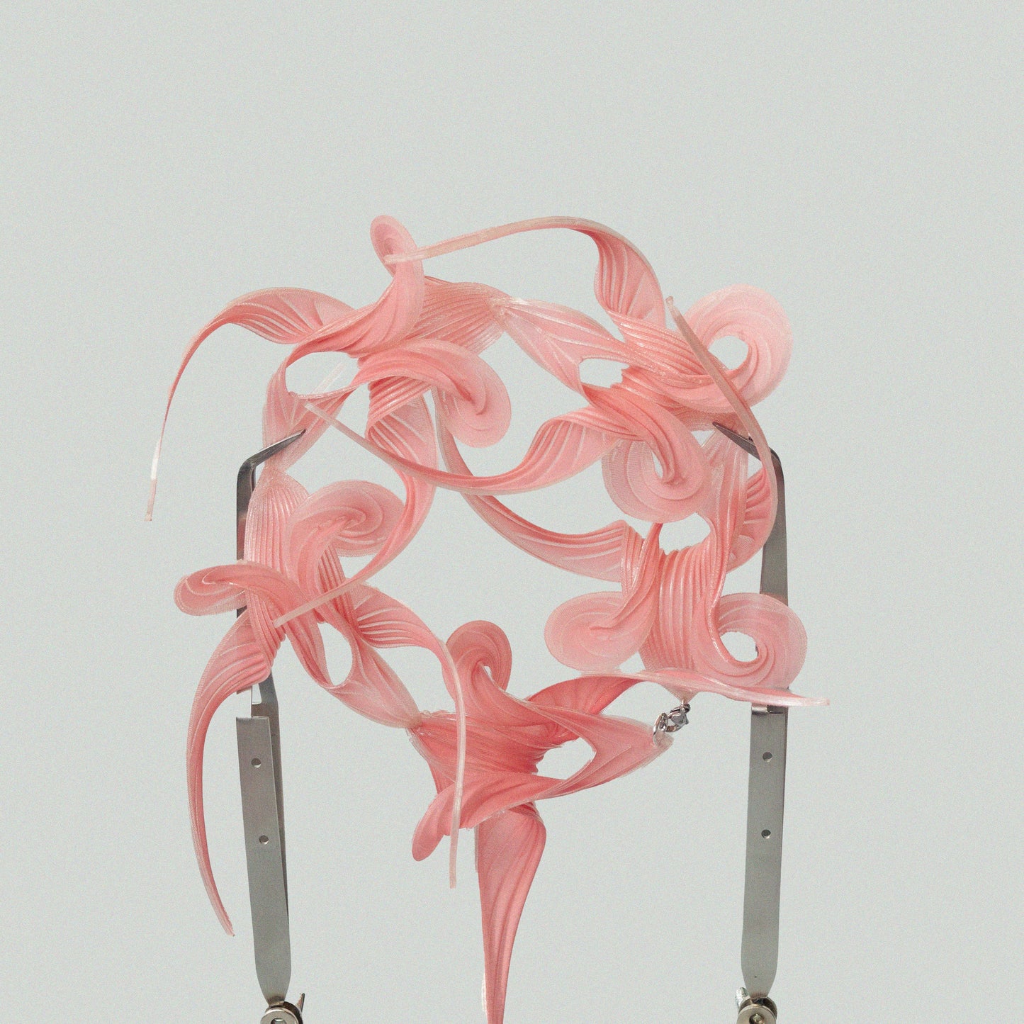 Tendrillia Silvanea - Pink